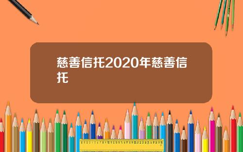 慈善信托2020年慈善信托