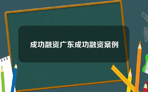 成功融资广东成功融资案例