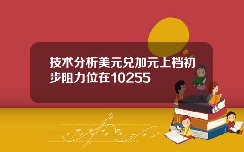 技术分析美元兑加元上档初步阻力位在10255