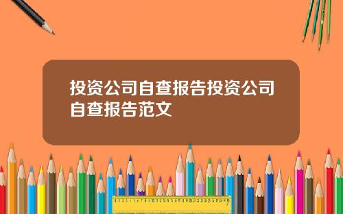 投资公司自查报告投资公司自查报告范文