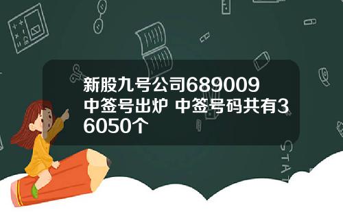 新股九号公司689009中签号出炉 中签号码共有36050个