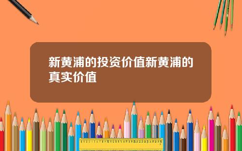 新黄浦的投资价值新黄浦的真实价值