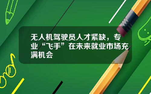 无人机驾驶员人才紧缺，专业“飞手”在未来就业市场充满机会
