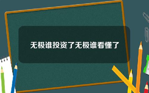 无极谁投资了无极谁看懂了