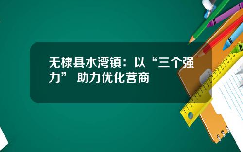 无棣县水湾镇:以“三个强力” 助力优化营商