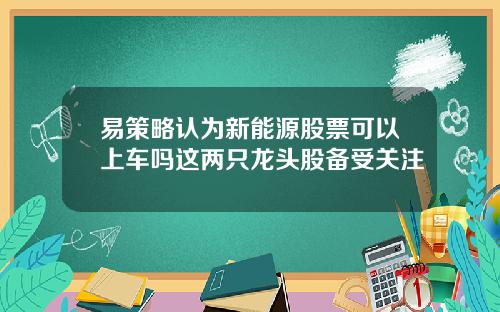 易策略认为新能源股票可以上车吗这两只龙头股备受关注