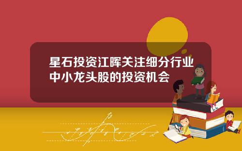 星石投资江晖关注细分行业中小龙头股的投资机会