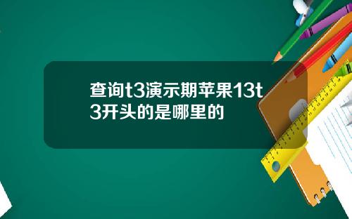 查询t3演示期苹果13t3开头的是哪里的