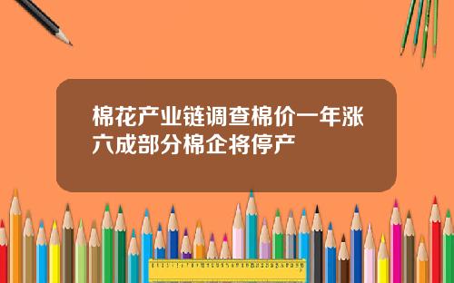 棉花产业链调查棉价一年涨六成部分棉企将停产