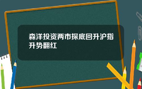 森洋投资两市探底回升沪指升势翻红