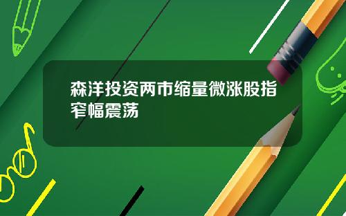 森洋投资两市缩量微涨股指窄幅震荡