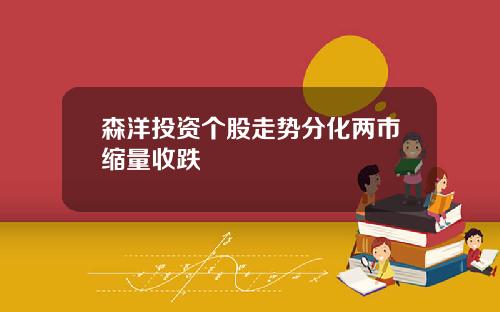 森洋投资个股走势分化两市缩量收跌