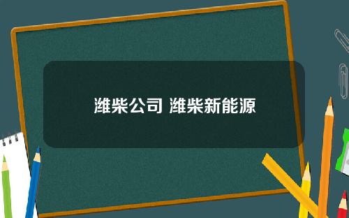 潍柴公司 潍柴新能源