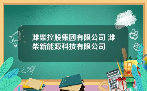潍柴控股集团有限公司 潍柴新能源科技有限公司