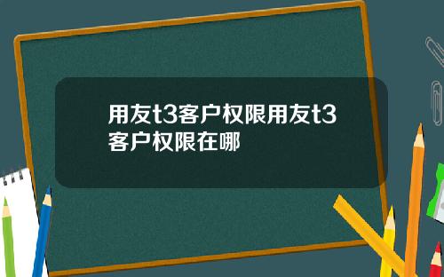 用友t3客户权限用友t3客户权限在哪