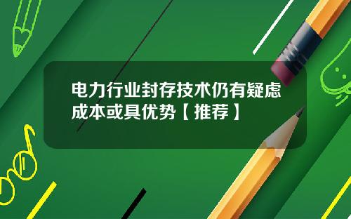 电力行业封存技术仍有疑虑成本或具优势【推荐】