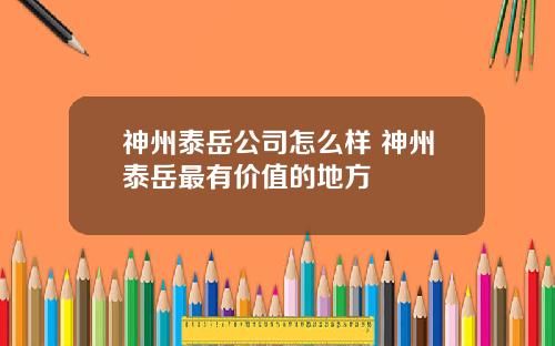 神州泰岳公司怎么样 神州泰岳最有价值的地方