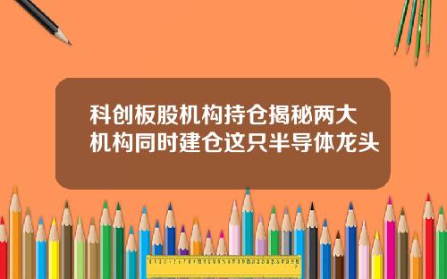 科创板股机构持仓揭秘两大机构同时建仓这只半导体龙头