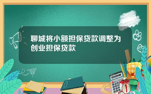 聊城将小额担保贷款调整为创业担保贷款