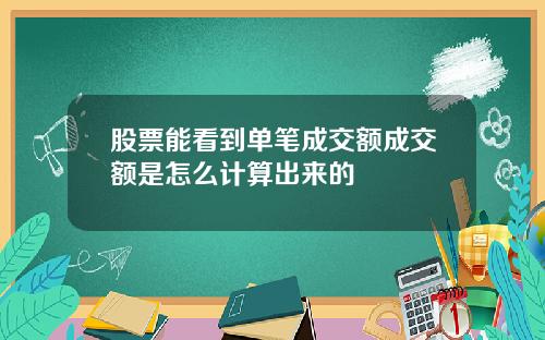 股票能看到单笔成交额成交额是怎么计算出来的