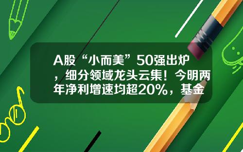 A股“小而美”50强出炉，细分领域龙头云集！今明两年净利增速均超20%，基金扎堆重仓这些股-好快的股票资讯