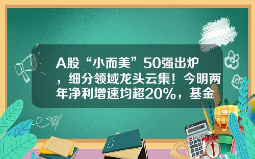 A股“小而美”50强出炉，细分领域龙头云集！今明两年净利增速均超20%，基金扎堆重仓这些股-小基金公司