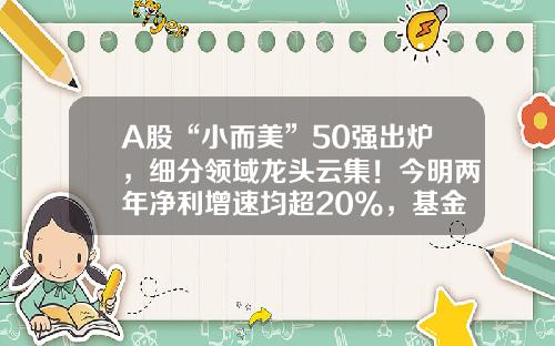 A股“小而美”50强出炉，细分领域龙头云集！今明两年净利增速均超20%，基金扎堆重仓这些股-小度股票资讯