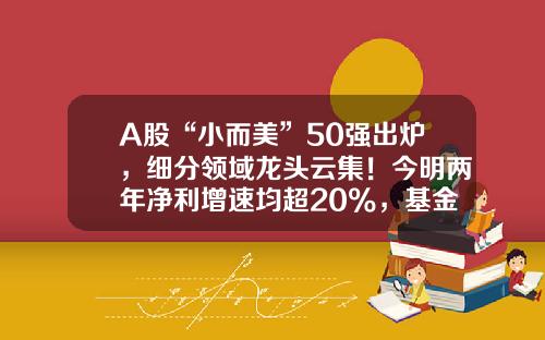 A股“小而美”50强出炉，细分领域龙头云集！今明两年净利增速均超20%，基金扎堆重仓这些股-股票投资资讯网站