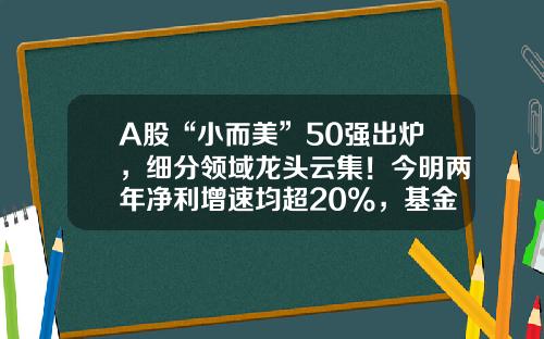 A股“小而美”50强出炉，细分领域龙头云集！今明两年净利增速均超20%，基金扎堆重仓这些股-50家小公司