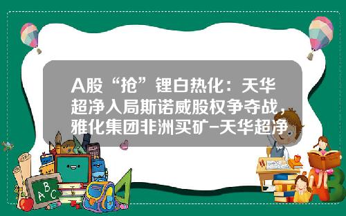 A股“抢”锂白热化：天华超净入局斯诺威股权争夺战，雅化集团非洲买矿-天华超净公司倒闭