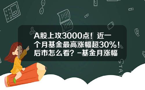 A股上攻3000点！近一个月基金最高涨幅超30%！后市怎么看？-基金月涨幅