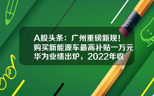 A股头条：广州重磅新规！购买新能源车最高补贴一万元华为业绩出炉，2022年收入达到6423亿元-002269基金【新闻】