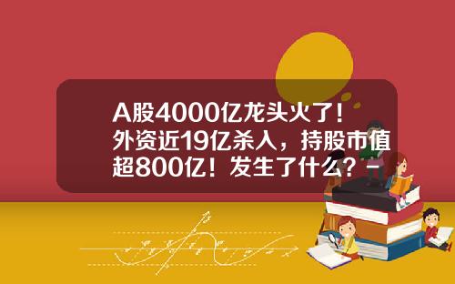 A股4000亿龙头火了！外资近19亿杀入，持股市值超800亿！发生了什么？-外商投资上市公司