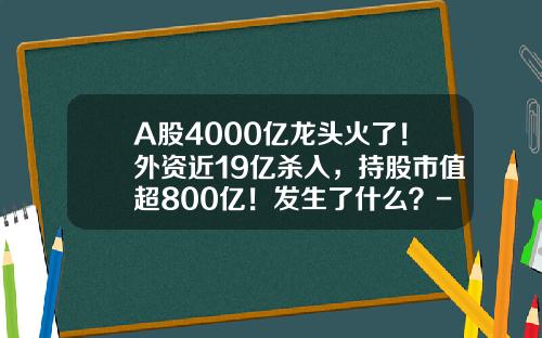 A股4000亿龙头火了！外资近19亿杀入，持股市值超800亿！发生了什么？-a股流通市值总额多少