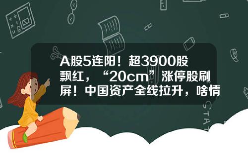 A股5连阳！超3900股飘红，“20cm”涨停股刷屏！中国资产全线拉升，啥情况？-a股上涨多少涨停