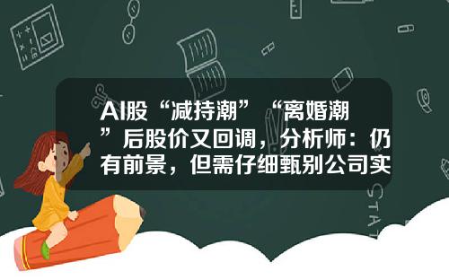 AI股“减持潮”“离婚潮”后股价又回调，分析师：仍有前景，但需仔细甄别公司实力-最新资讯数码科技股票行情