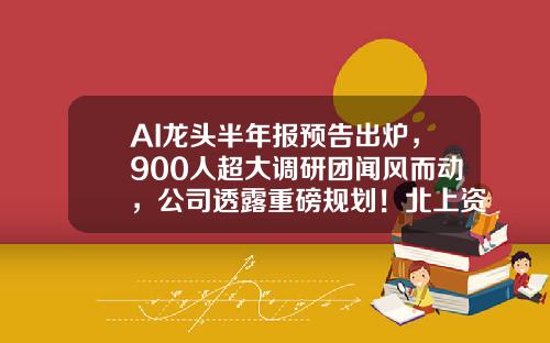 AI龙头半年报预告出炉，900人超大调研团闻风而动，公司透露重磅规划！北上资金近期加仓这些大模型概念股-股票一手的资讯一流的资金