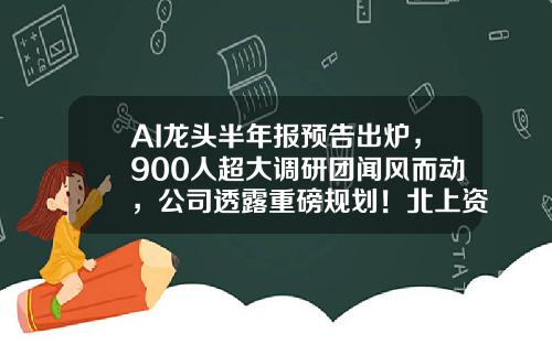 AI龙头半年报预告出炉，900人超大调研团闻风而动，公司透露重磅规划！北上资金近期加仓这些大模型概念股-股票资讯有哪些大v