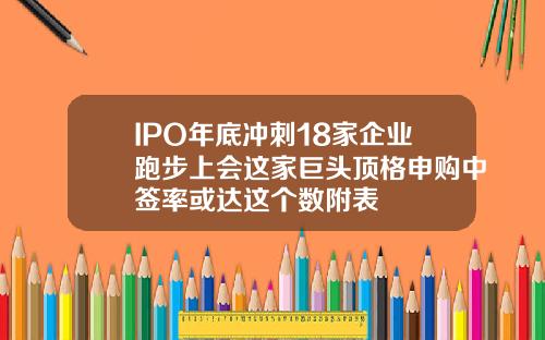 IPO年底冲刺18家企业跑步上会这家巨头顶格申购中签率或达这个数附表