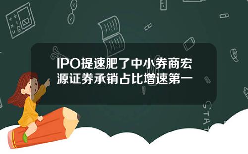 IPO提速肥了中小券商宏源证券承销占比增速第一