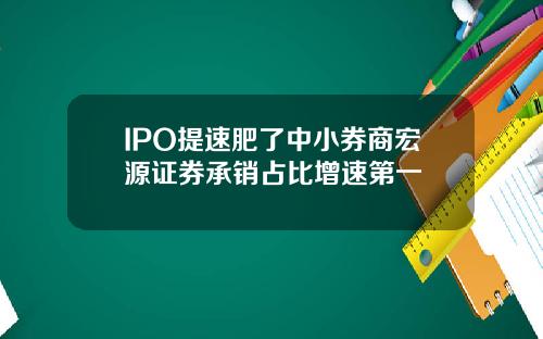 IPO提速肥了中小券商宏源证券承销占比增速第一