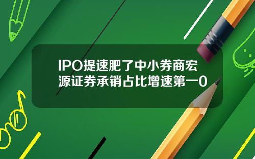 IPO提速肥了中小券商宏源证券承销占比增速第一0