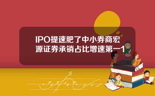 IPO提速肥了中小券商宏源证券承销占比增速第一1