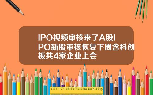 IPO视频审核来了A股IPO新股审核恢复下周含科创板共4家企业上会