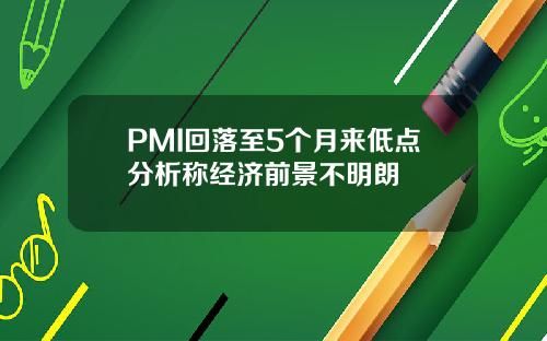 PMI回落至5个月来低点分析称经济前景不明朗