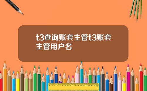 t3查询账套主管t3账套主管用户名