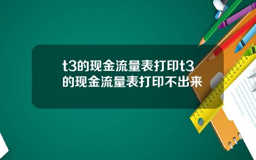 t3的现金流量表打印t3的现金流量表打印不出来