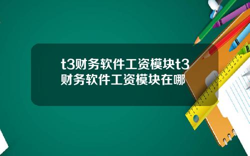 t3财务软件工资模块t3财务软件工资模块在哪
