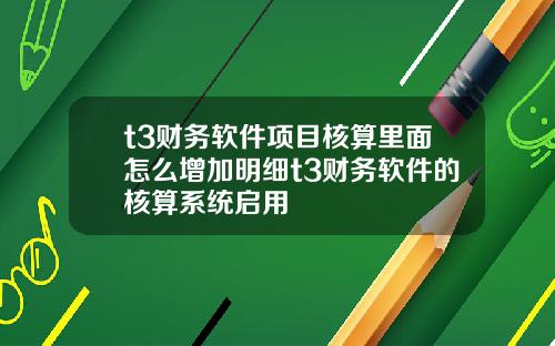 t3财务软件项目核算里面怎么增加明细t3财务软件的核算系统启用