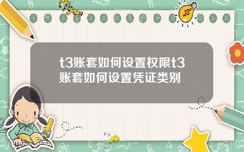 t3账套如何设置权限t3账套如何设置凭证类别